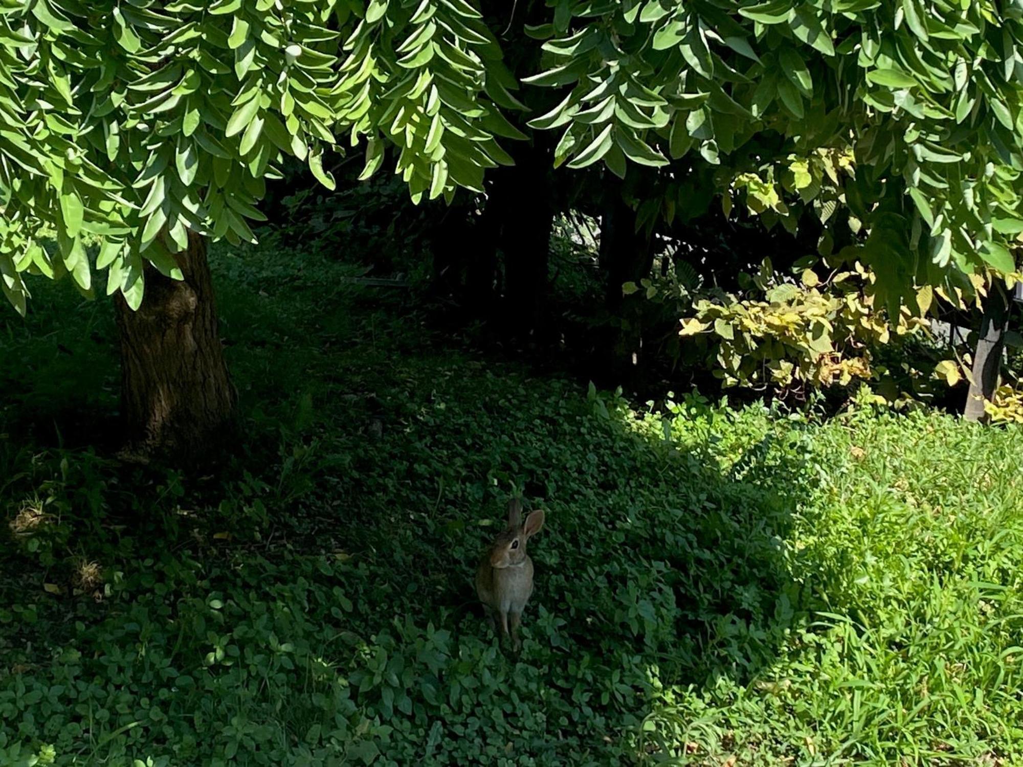 Magie Daire Milano Dış mekan fotoğraf